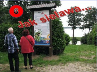 6..jpg